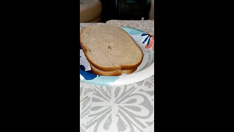 Eating Oscar Meyer Deli Fresh Oven Roasted Turkey Breast, Dbn, MI, 11/15/25