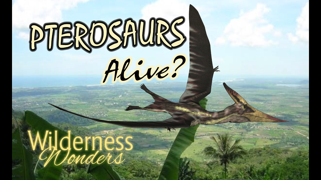 Pterosaur Research--UNCUT & UNEDITED!