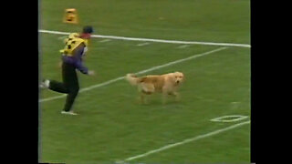 November 9, 1985 - Dog on Field Interrupts Monon Bell Game
