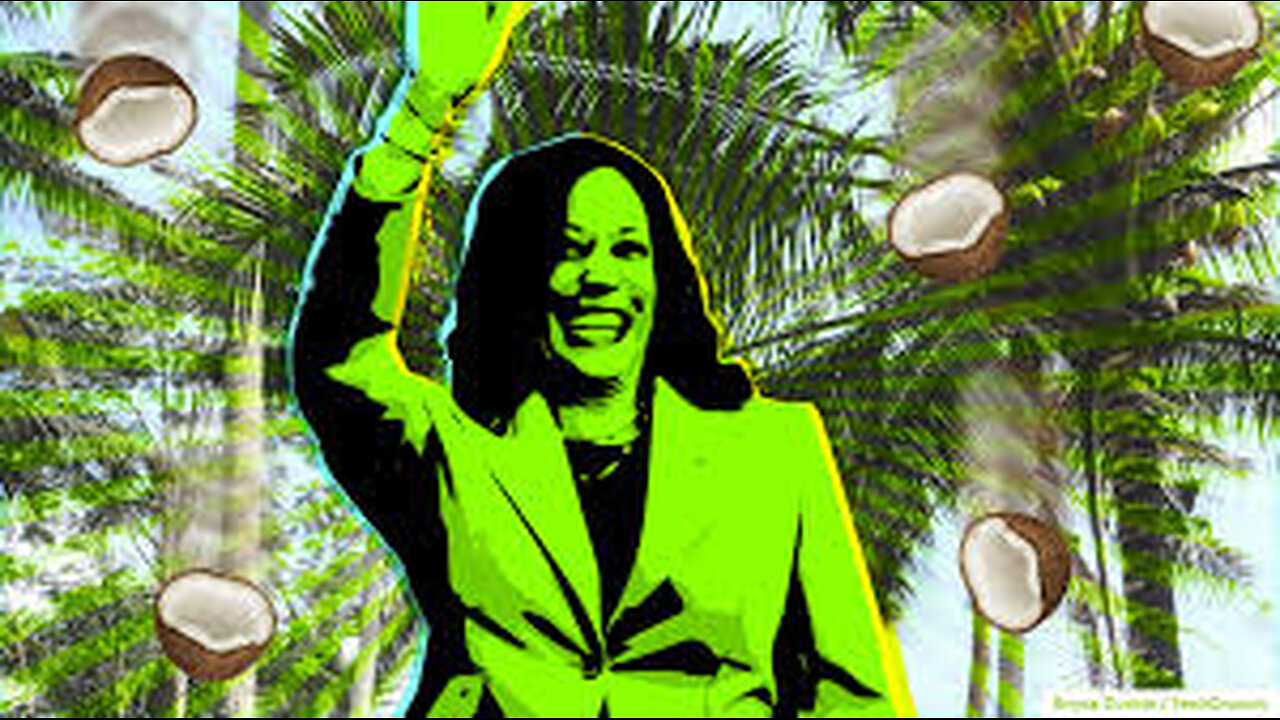Kamala is Back, "I Told You So," Shocked At Losing and How She Really Didn't Have it To Win the P
