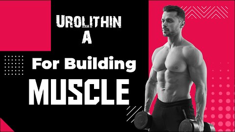 Urolithin A for building muscle