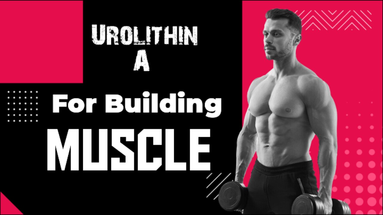 Urolithin A for building muscle