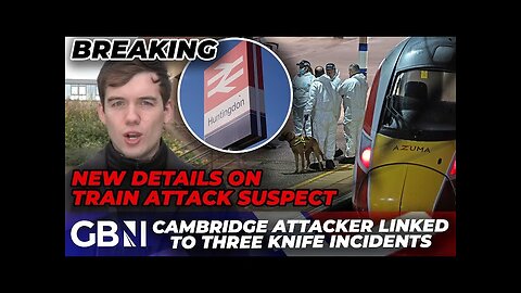 Train stabbing suspect linked to THREE knife incidents in days before attack