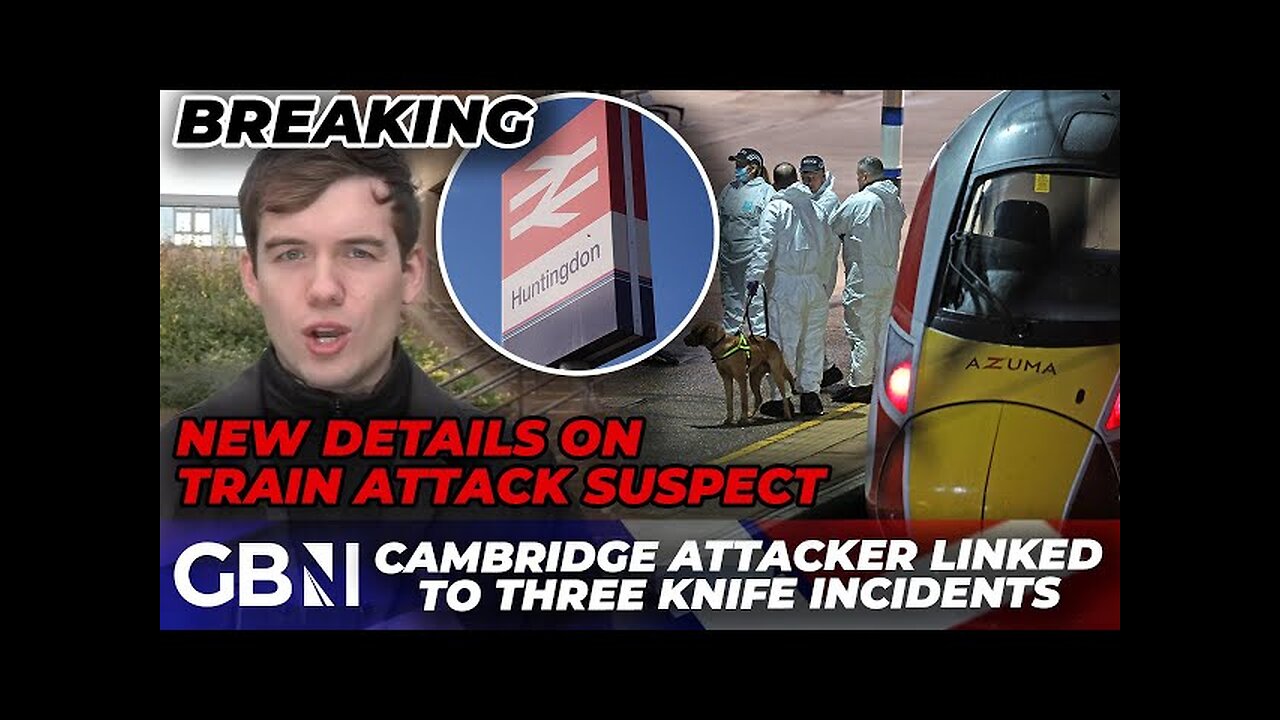 Train stabbing suspect linked to THREE knife incidents in days before attack