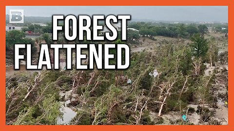 Texas Flood Leaves Forest Flattened