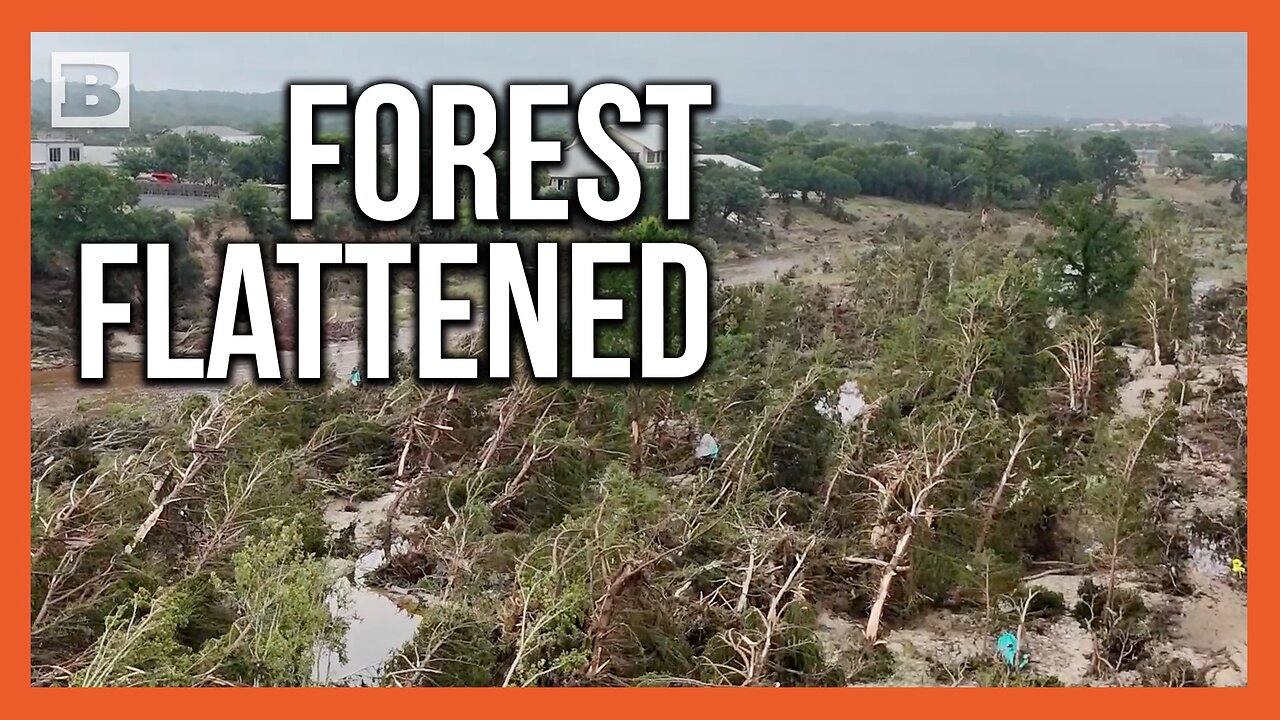 Texas Flood Leaves Forest Flattened