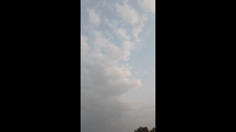 vsjsh