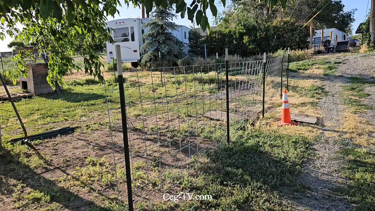 Graham Family Farm: 6:50 PM June 18 2025