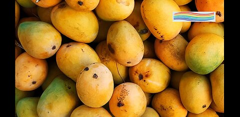 Mango: The King of Fruits | Amazing Facts, Health Benefits & Indian Varieties!
