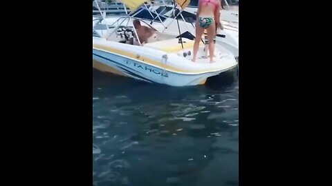 Boat party