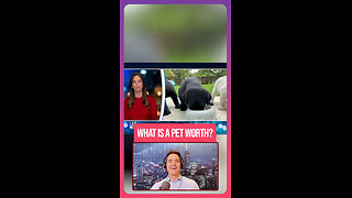 Study Finds How Much Money A Pet Is Worth When It Comes To Lowering Stress.