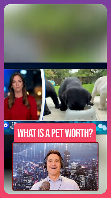 Study Finds How Much Money A Pet Is Worth When It Comes To Lowering Stress.