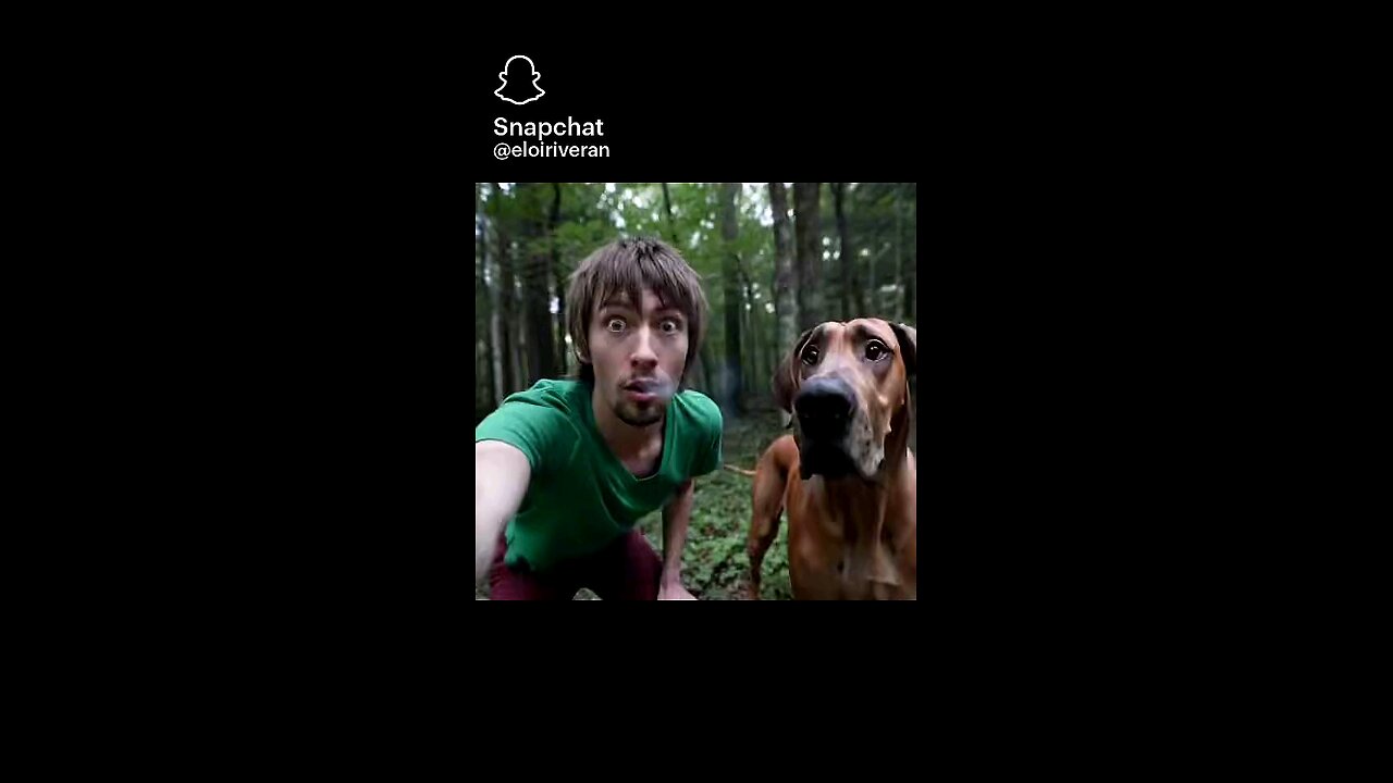 Follow and like 4 more . .