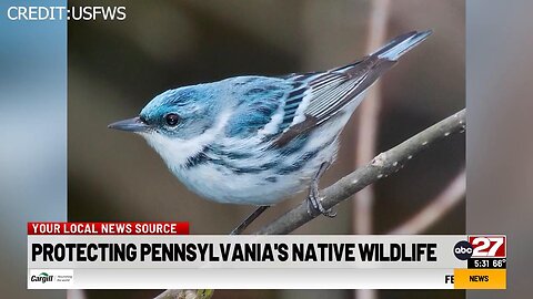 Push for protecting wildlife habitats in Pennsylvania