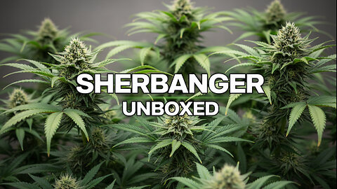 Sherbanger from shop HELLO MARY