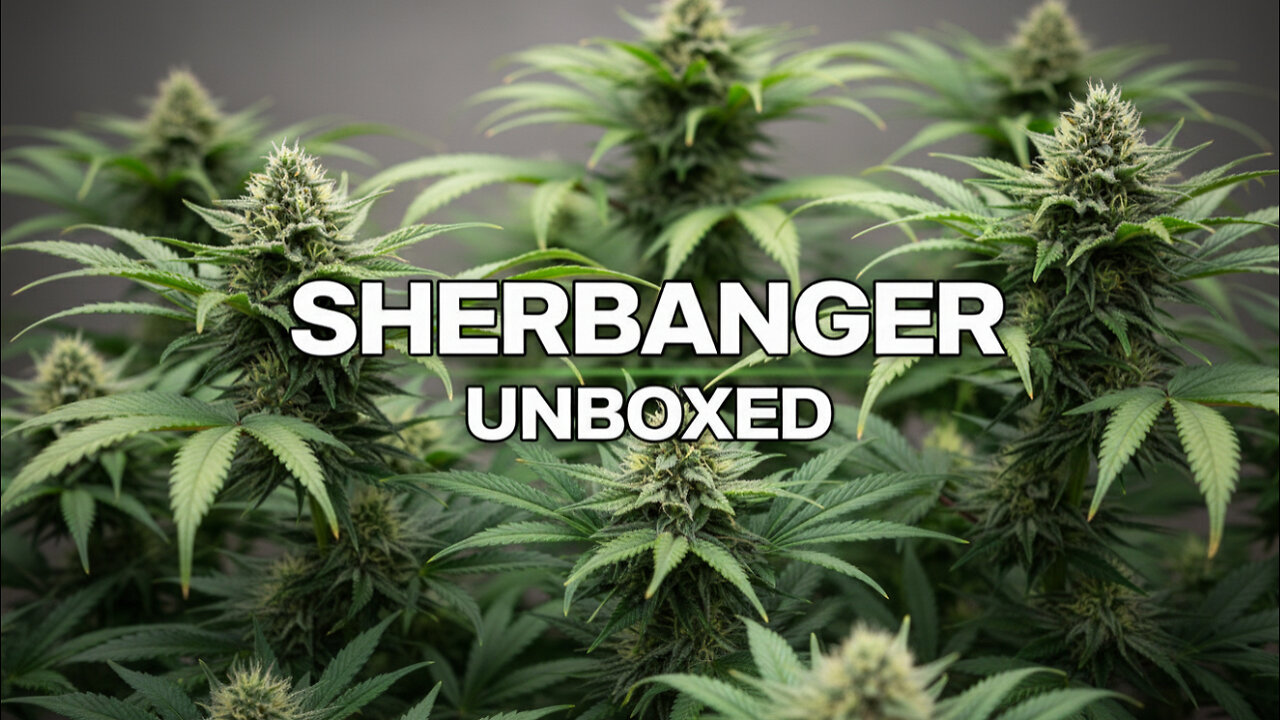 Sherbanger from shop HELLO MARY