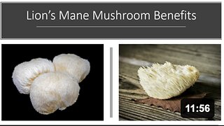Lions Mane Mushroom Benefits