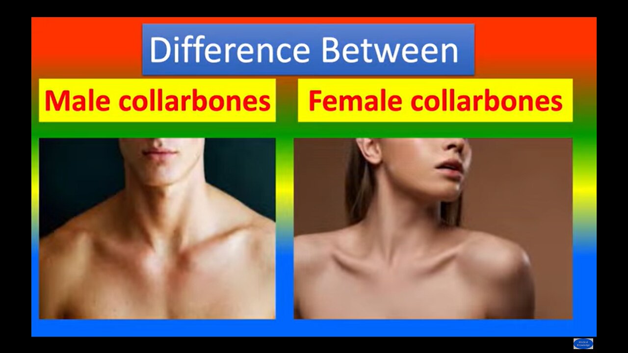 Clavicle Club 1st edition