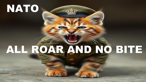 NATO - A LION'S ROAR AND A KITTEN'S BITE - THE WAR MACHINE WITH NO WAR MACHINE
