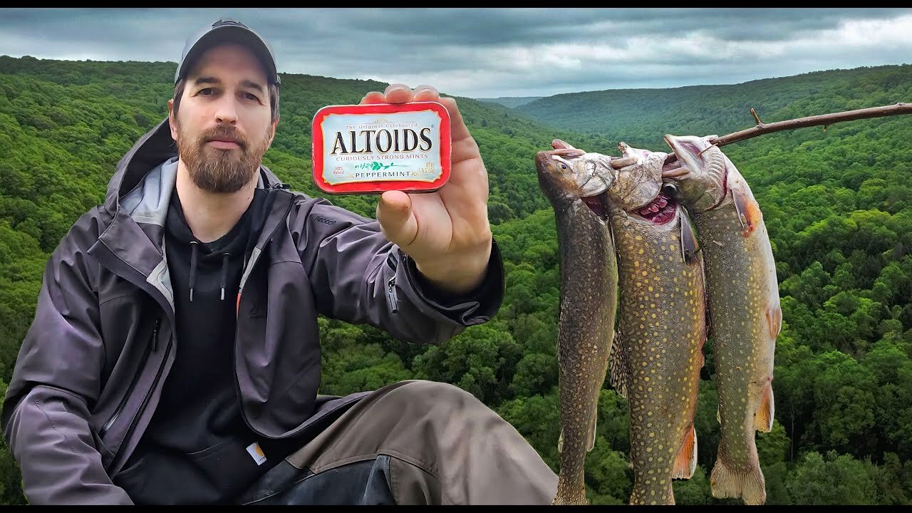 🚨⚠️3 Days in the Wild Using an Altoids Tin Survival Kit to Survive - No Food or Water🚨⚠️