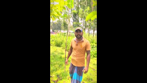 "চালের দাম নয় কেবল, কান্নার দামও বেড়েছে!"