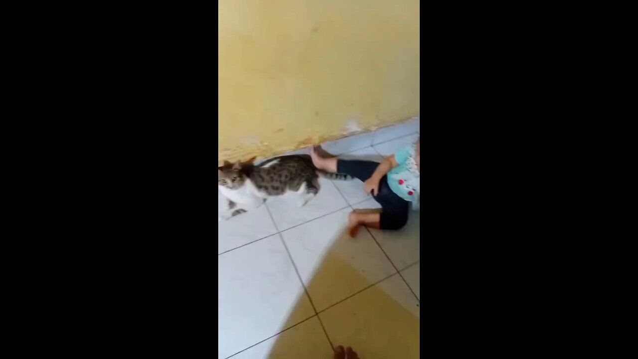Kids & Cats