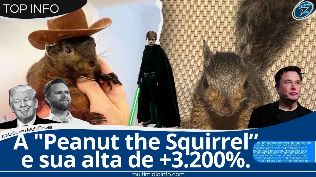 A criptomoeda “Peanut the Squirrel” (PNUT) e sua incrível valorização de + de 3.200%.
