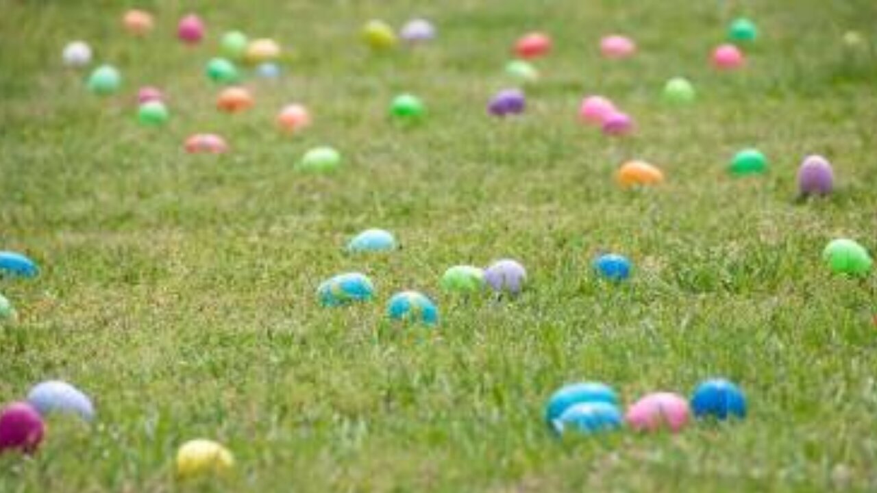 Toddler Rambles: Easter egg hunt!
