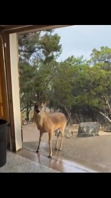 W O R D Got OUT, The SECRET SHARED !