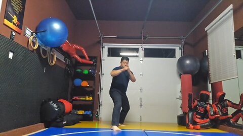 WTD 2 Step Kick Combination 153