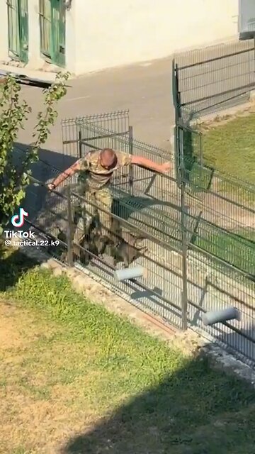 They Start Them Very Young; K 9 Training