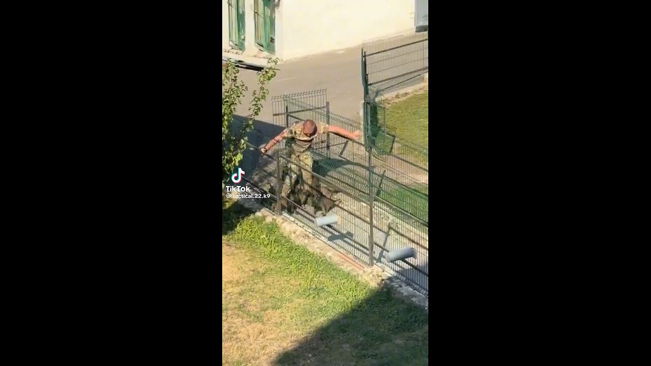 They Start Them Very Young; K 9 Training