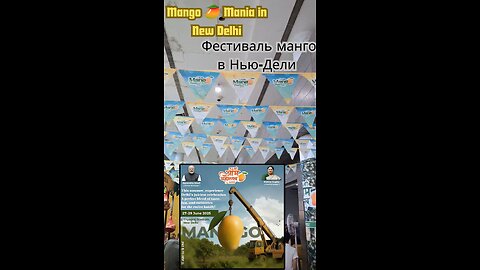 🥭 Mango Mania: Vibrant 2025 New Delhi Festival Delights! #MangoFestival #DelhiVibes