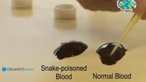 blood