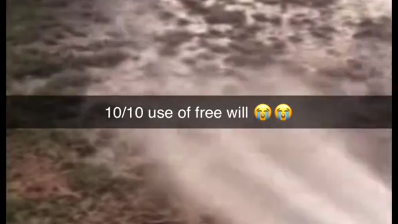 good use of free will 😂