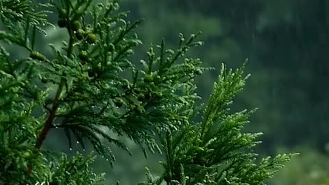 You must balance salt with potassium by Ed Delacruz #health #healthy #healthadvice #reels #shorts