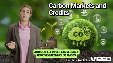 Carbon Markets and Credits:The Basics