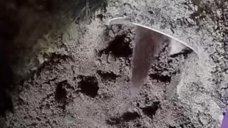 Digging forever!