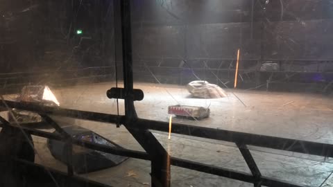 Robots Live Crawley 2025: Audacious Vs Iron Awe 6 Vs Tectonic Vs Oblivion Vs Tanshe