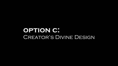 Option C: Creator's Divine Design