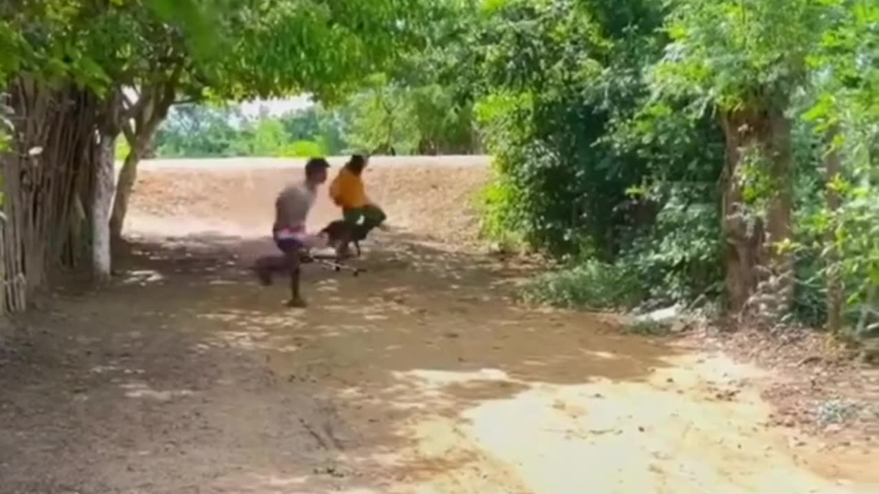 Funny video