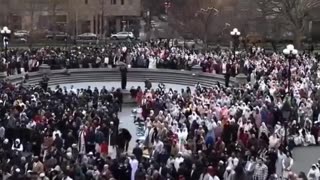 New York is cooked. This is what an invasion looks like.
