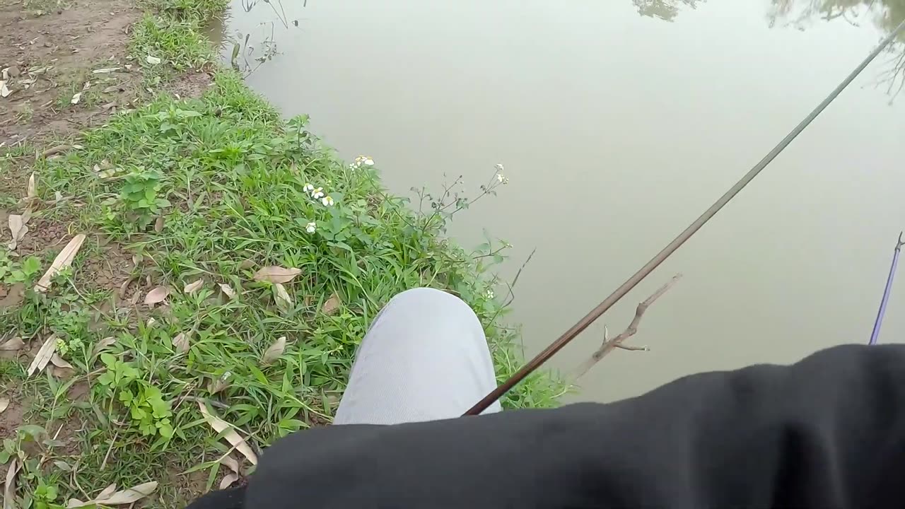 Sucker Scours the Lakes Botto