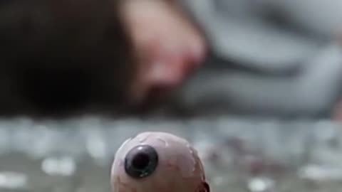 Las muertes del 👁️ En Destino Final ☠️💀🩸 | Destino Final Fans