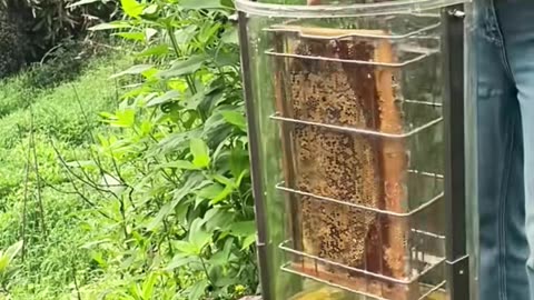 👍🔥 The Simplest Way To Clean Between Keyboard Keys | LifeHacksDaily