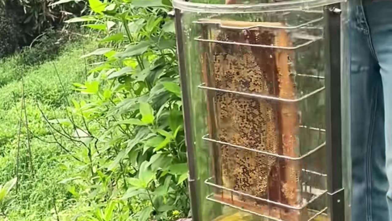 👍🔥 The Simplest Way To Clean Between Keyboard Keys | LifeHacksDaily