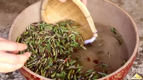 Grasshoppers are an unforgettable snack for our village children.