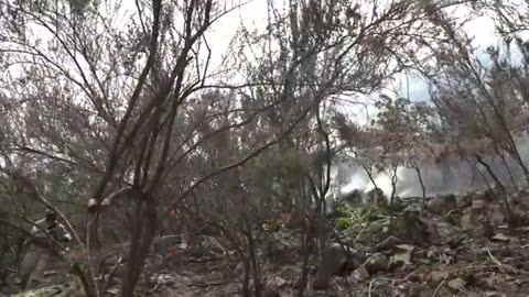 Trending: The Deadliest City in Mexico | Tijuana: 7 Murders a Day | Free Documen