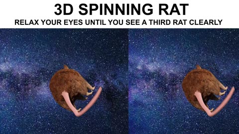 3D Stereogram Illusion Spinning Rat 4K 60FPS (Protip: The smaller the video, the easier it is to do)