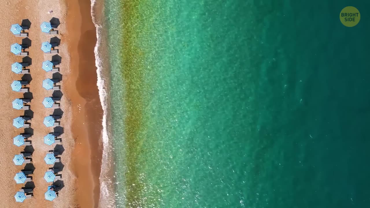 The Worst Things in Water Don’t Swim